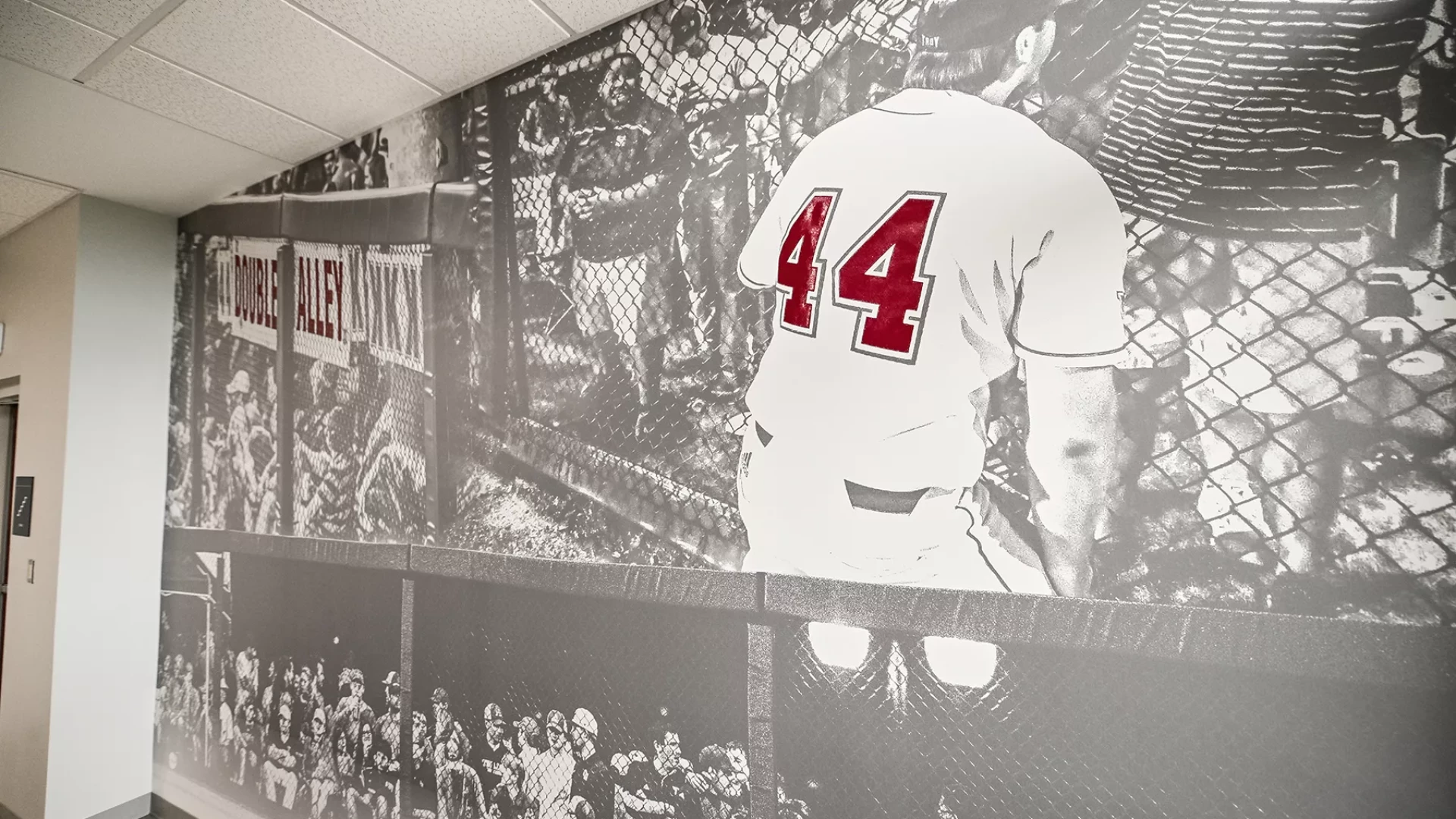 wall graphic