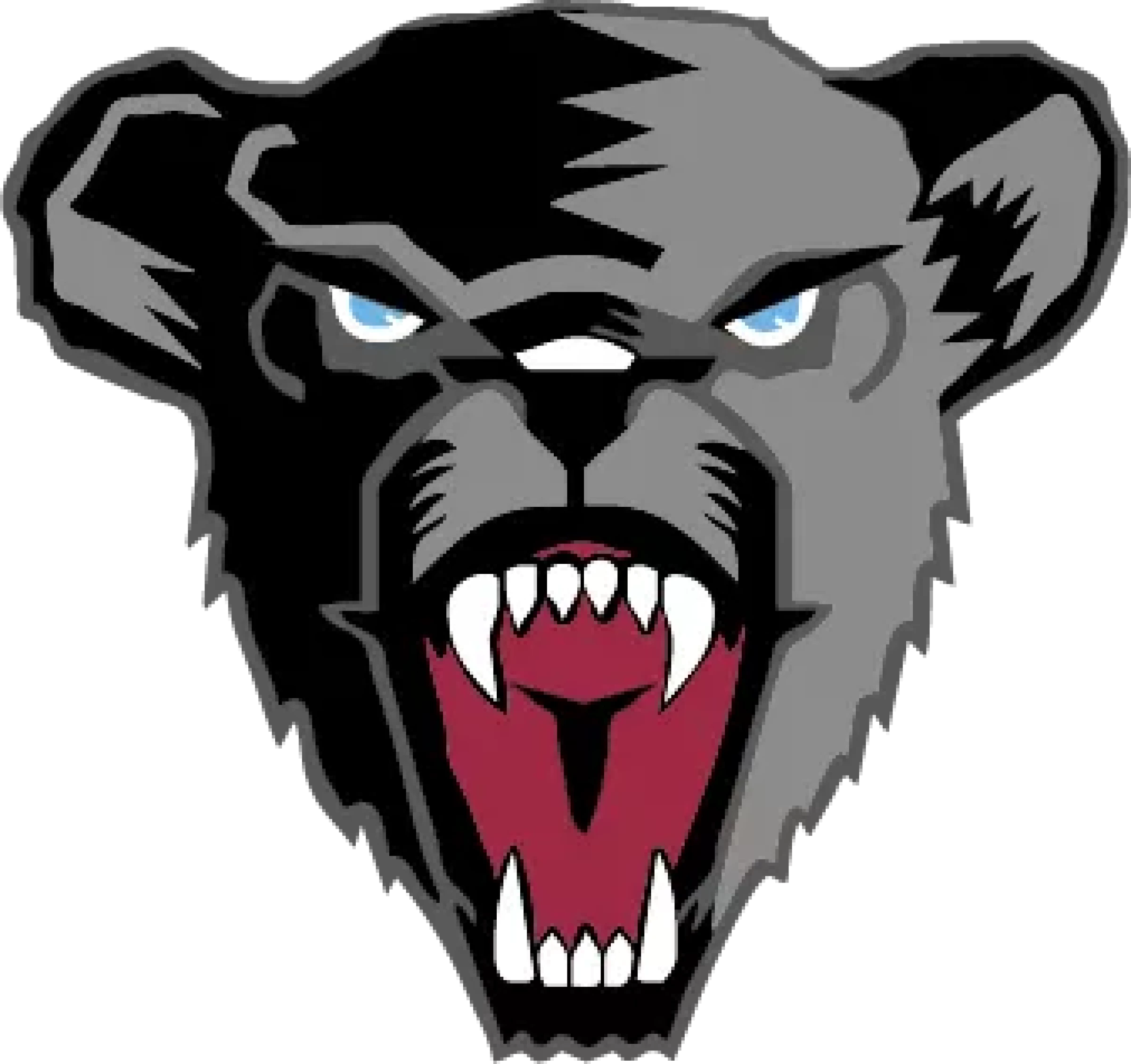 University of Maine