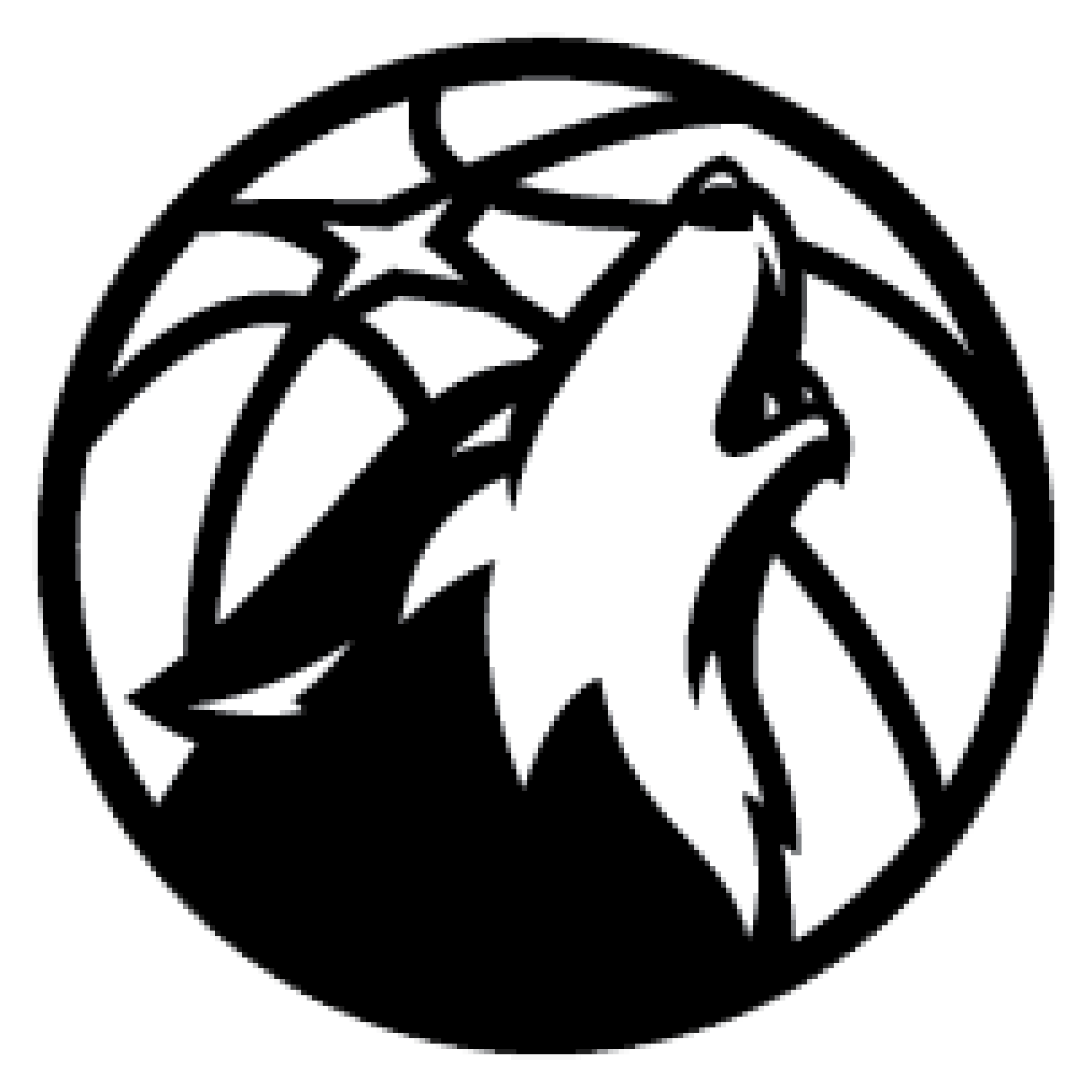 Minnesota Timberwolves