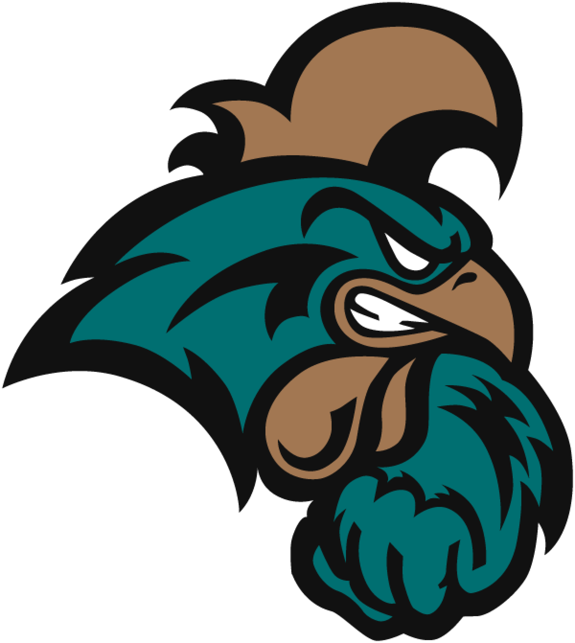 Coastal Carolina University