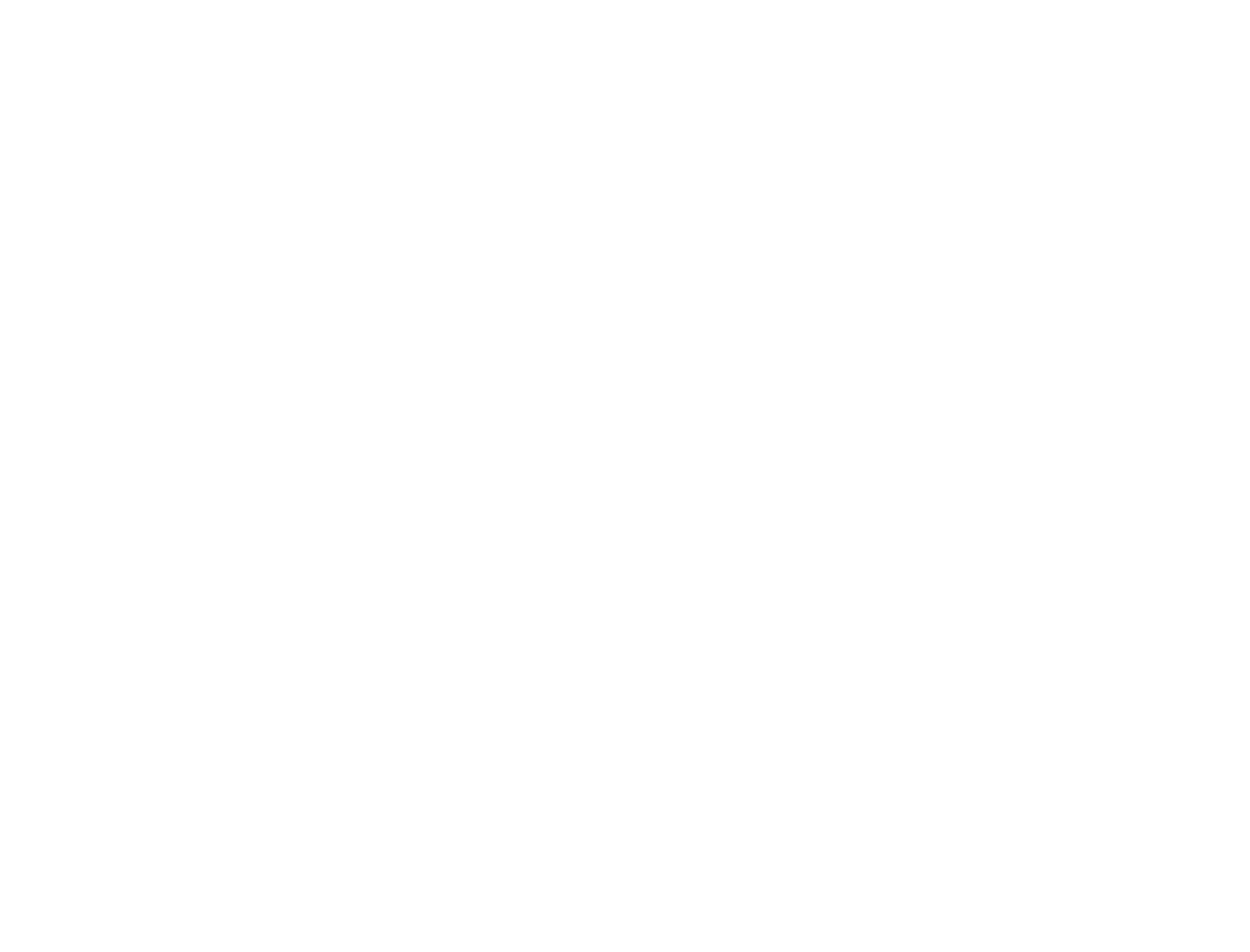 Detroit Lions