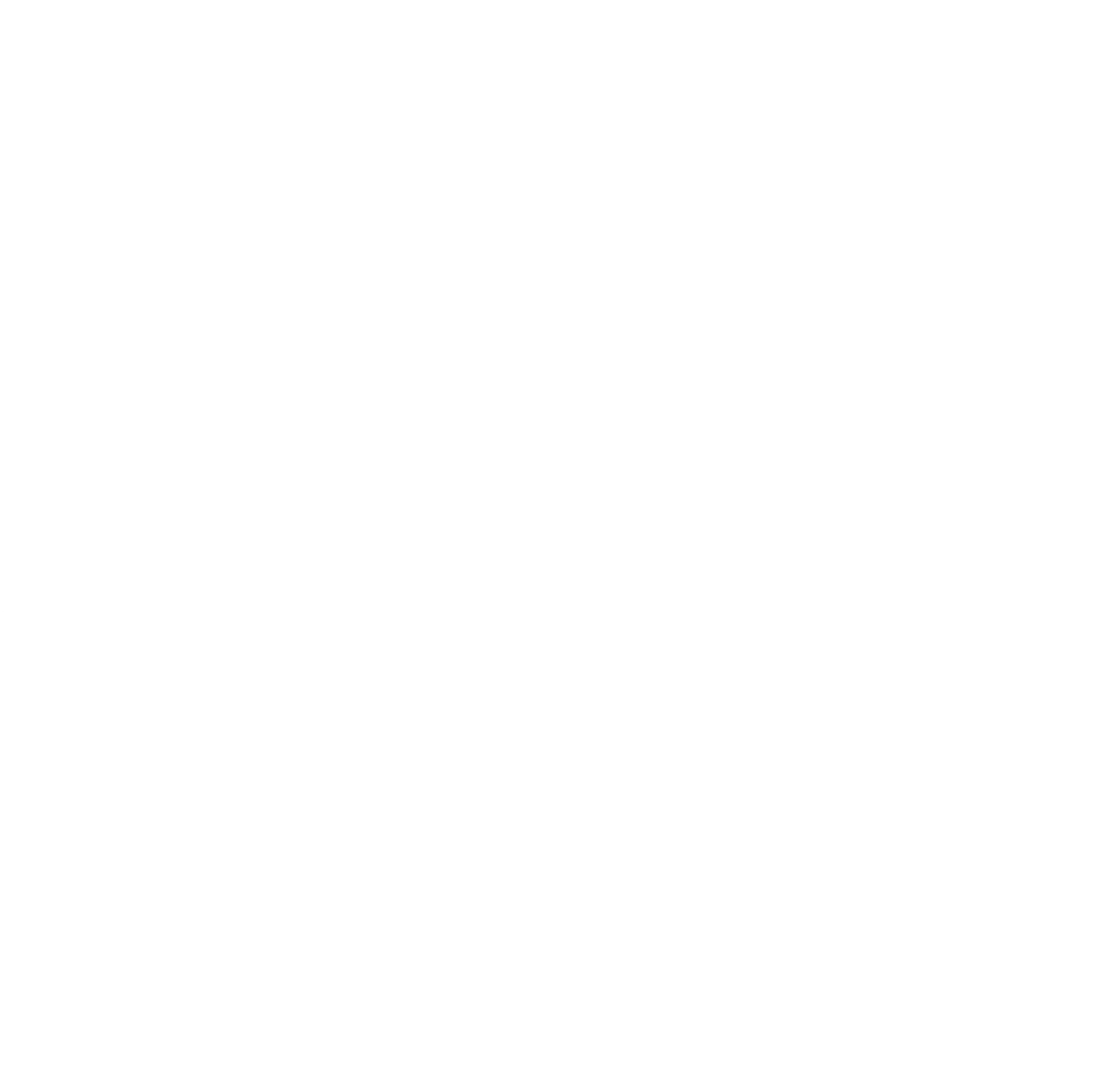 New Mexico State University