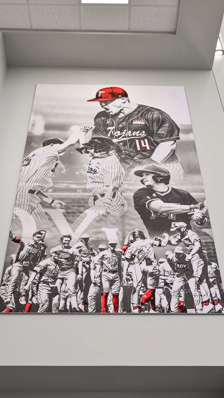 large wall graphic in lobby of Troy's baseball stadium